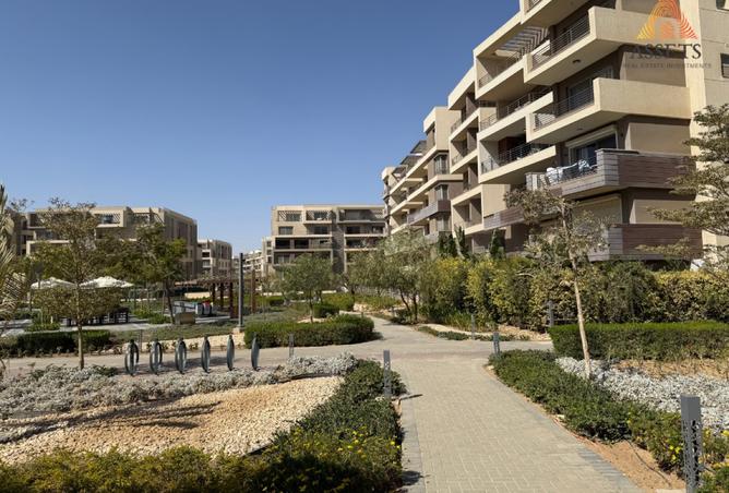 8173151 - Property Image 2