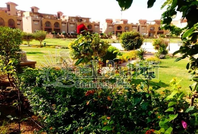 8173918 - Property Image 3