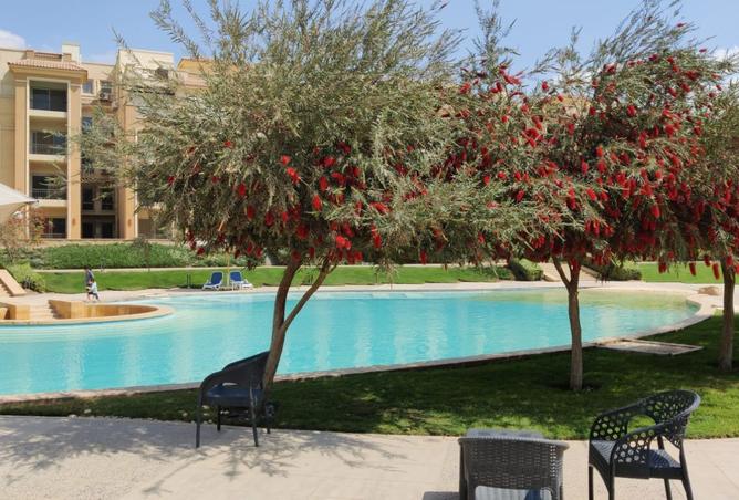 8516282 - صورة العقار 2