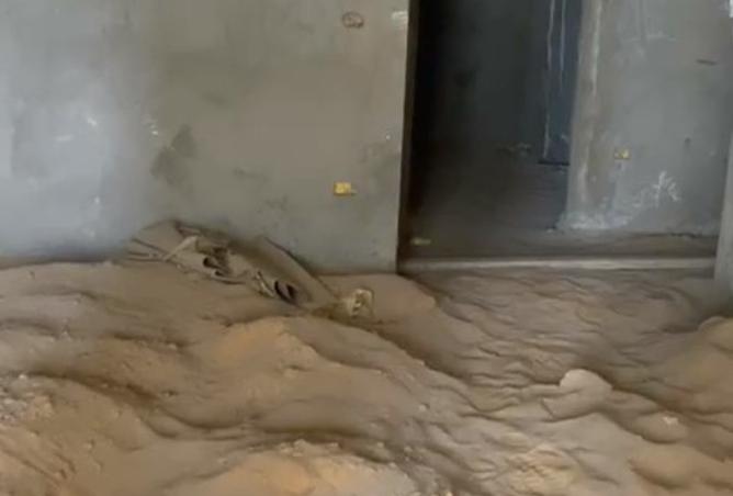 8173437 - Property Image 3