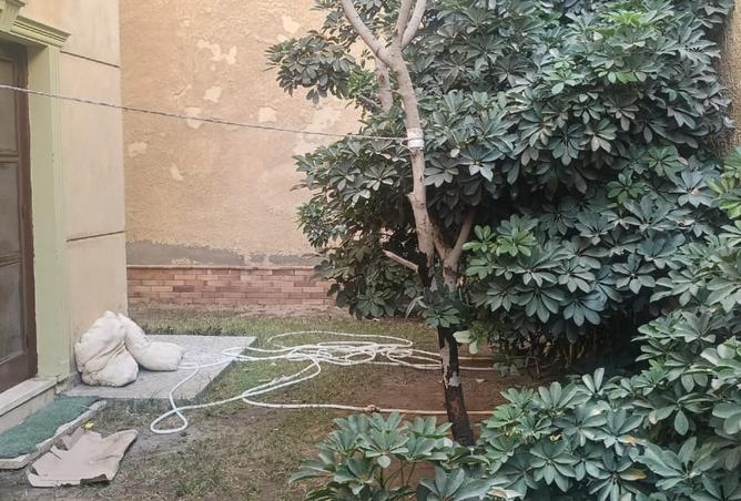 8174426 - صورة العقار 2