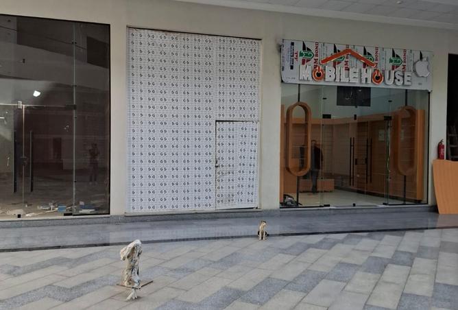 8174914 - Property Image 3