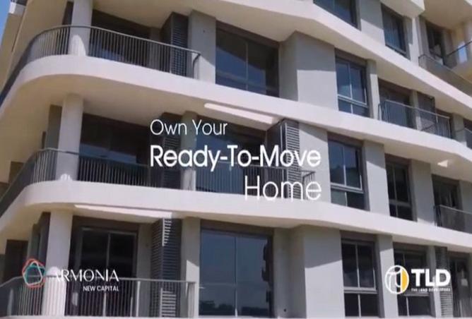 8175158 - Property Image 3