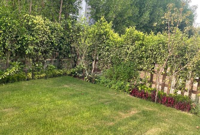 8175184 - صورة العقار 3