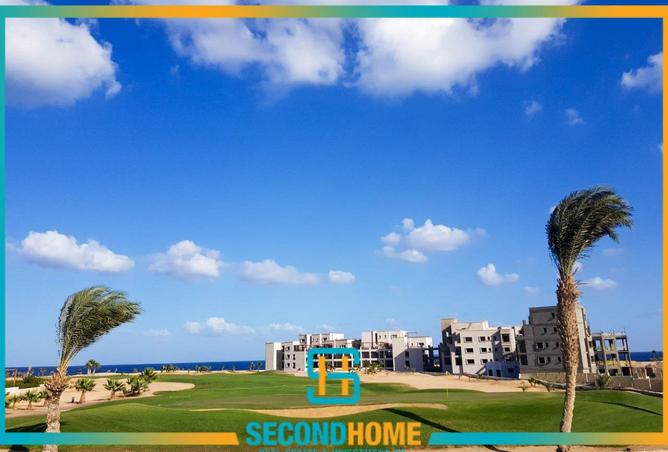 8175533 - Property Image 3