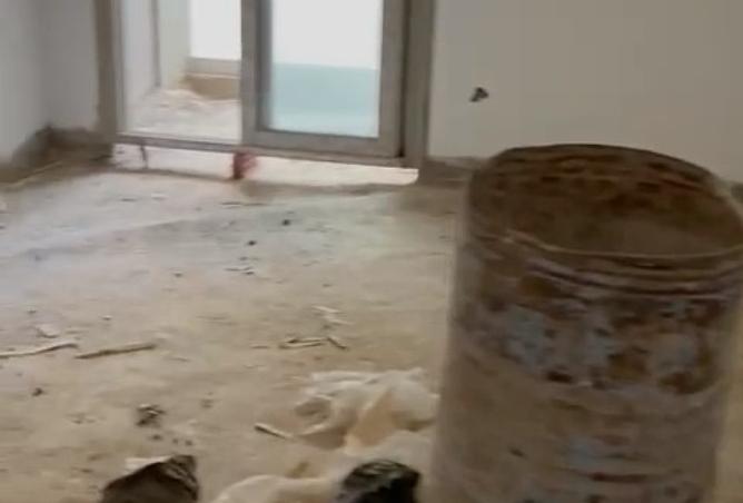 8175530 - Property Image 2