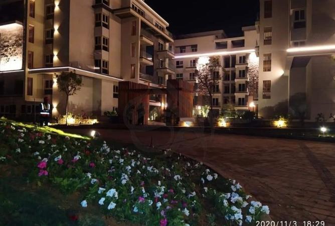 8176060 - Property Image 3