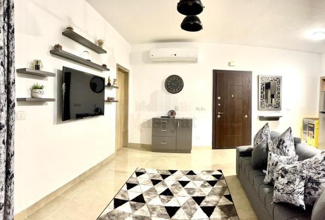 8176034 - Property Image 3