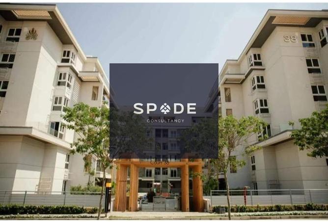 8312424 - Property Image 3