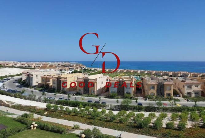 8177604 - صورة العقار 3