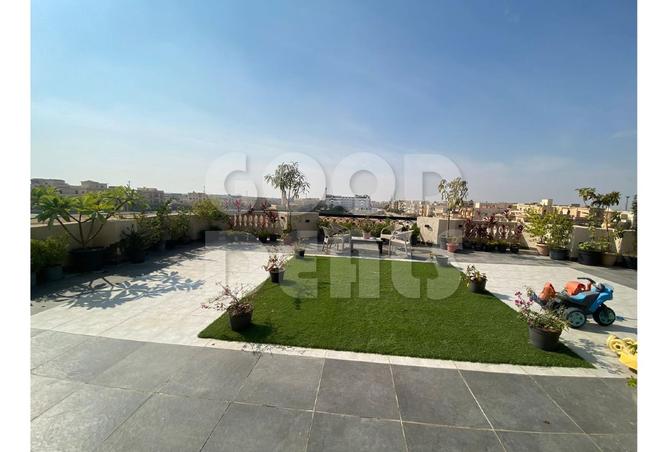 8177820 - صورة العقار 2