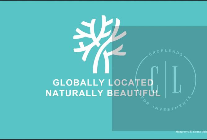 8178067 - الصورة الرئيسية للعقار