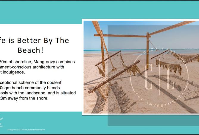 8178067 - صورة العقار 3