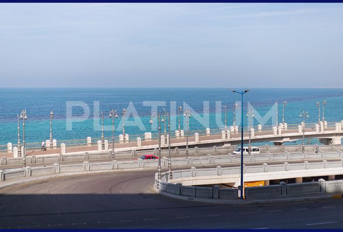 8178903 - صورة العقار 2