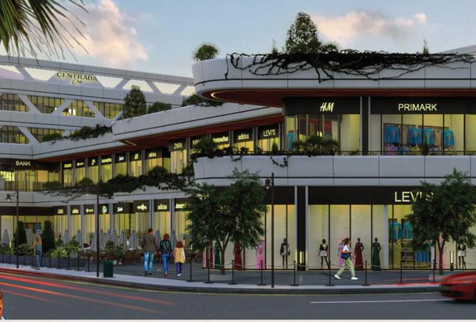 8179846 - Property Image 3