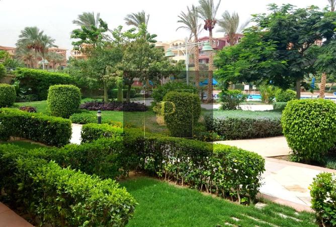 8179697 - صورة العقار 3