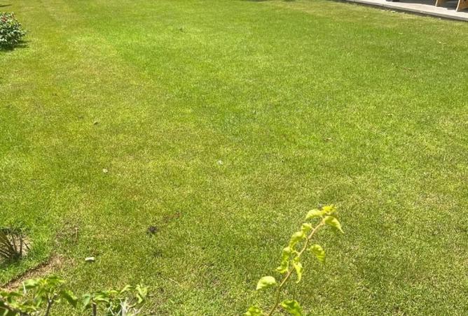 8182596 - صورة العقار 2