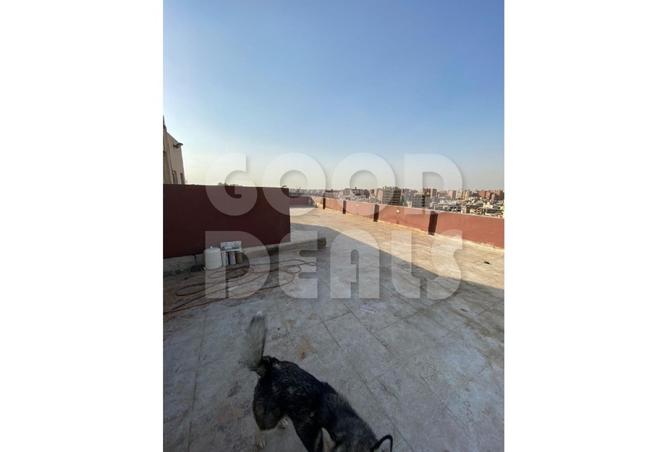 8183044 - صورة العقار 3