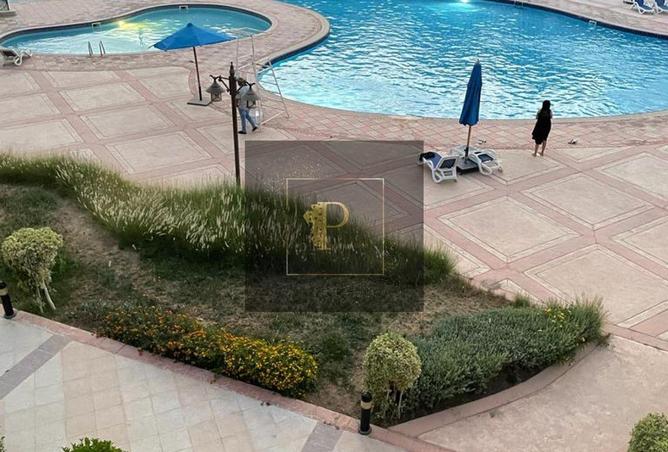 8183413 - Property Image 3