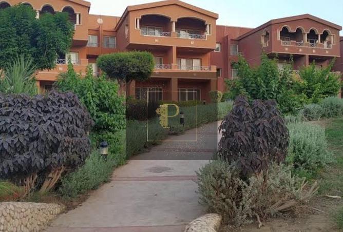 8183413 - Property Image 2