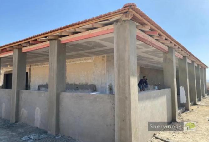 8183841 - صورة العقار 2