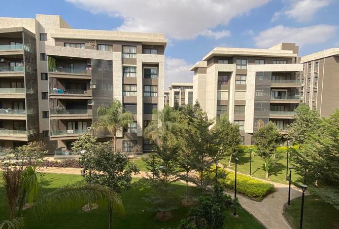 8184175 - صورة العقار 3