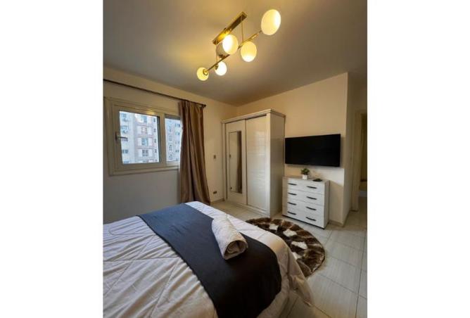 8184231 - Property Image 2