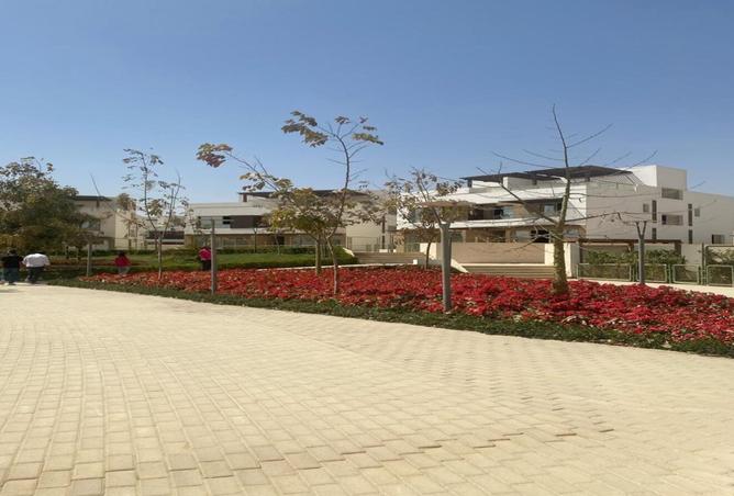 8184446 - صورة العقار 3