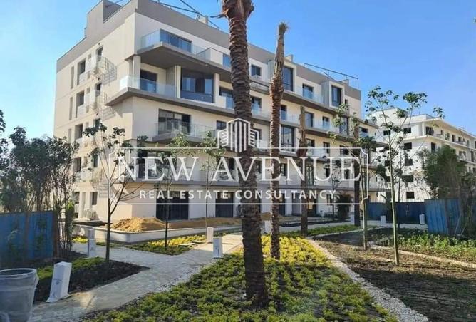 8386895 - Property Image 2