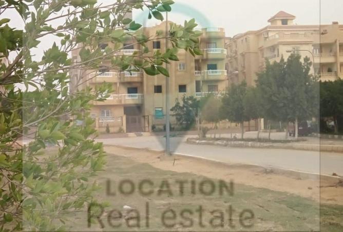 8184801 - صورة العقار 3