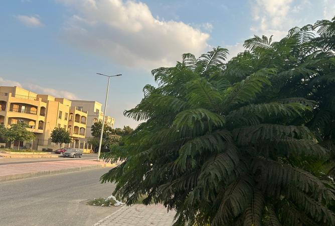 8187828 - Property Image 2