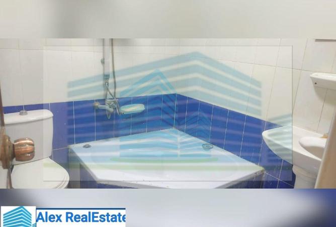 8191831 - Property Image 3