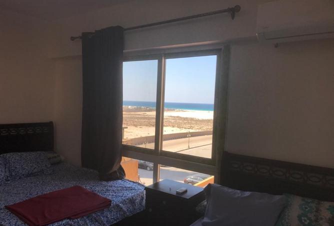 8192636 - Property Image 3