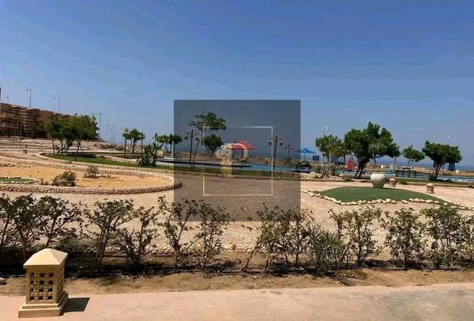 8192740 - Property Main Image