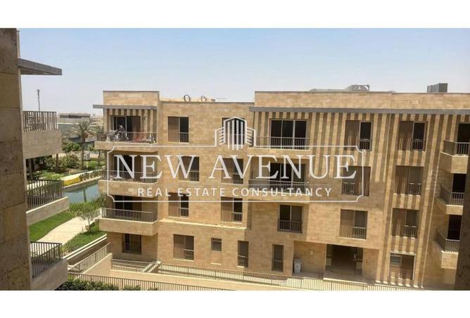 8376330 - Property Image 3