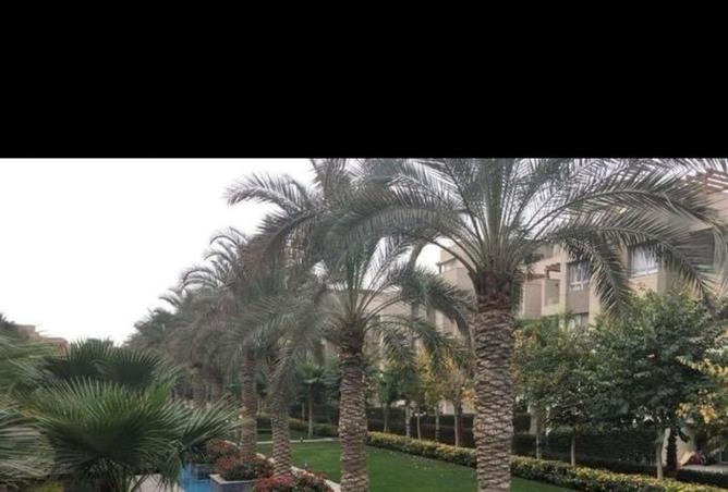 8193047 - صورة العقار 2