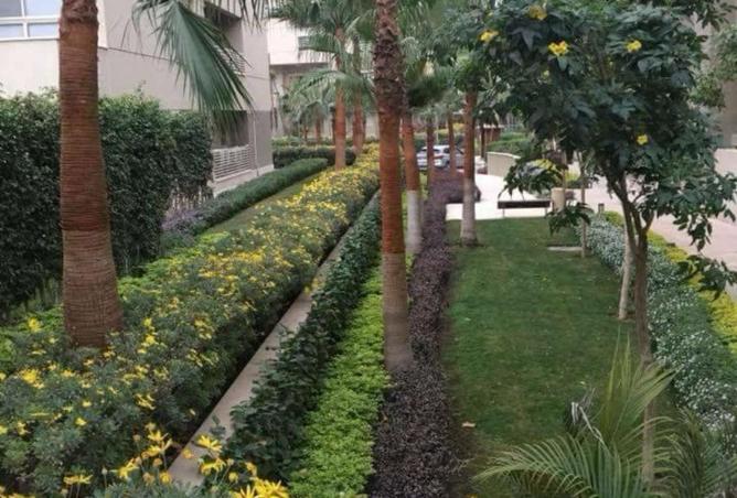 8193047 - الصورة الرئيسية للعقار