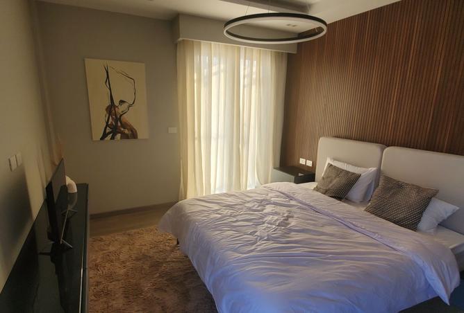 8196942 - Property Image 3