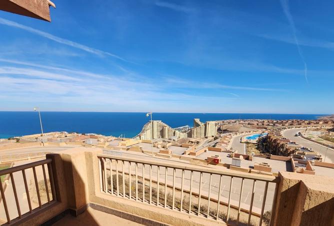 8193818 - Property Image 3