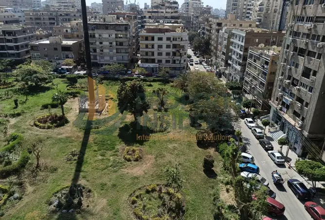 8194108 - صورة العقار 3