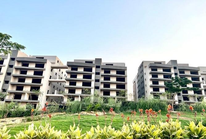 8194703 - صورة العقار 3