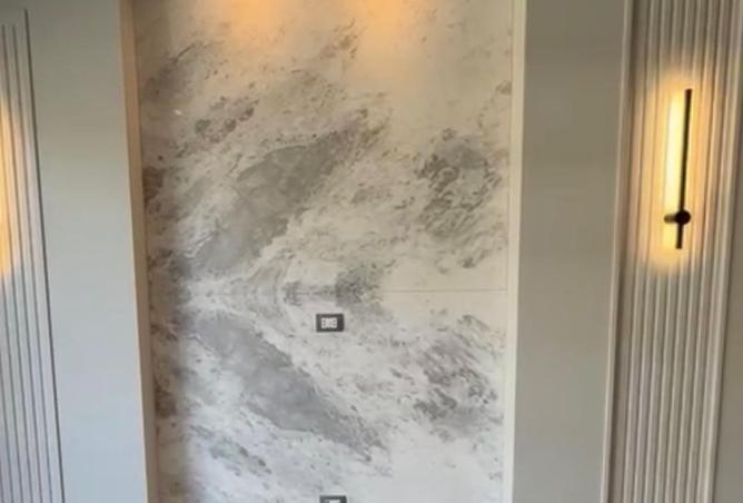 8195620 - صورة العقار 3