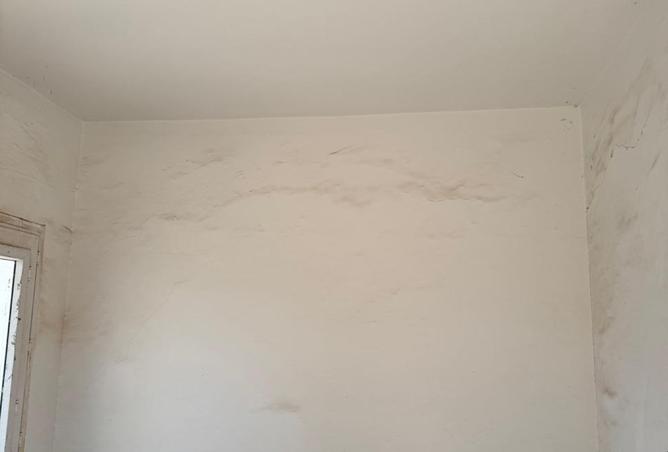 8195789 - صورة العقار 3