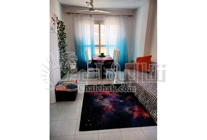 8197098 - Property Image 3