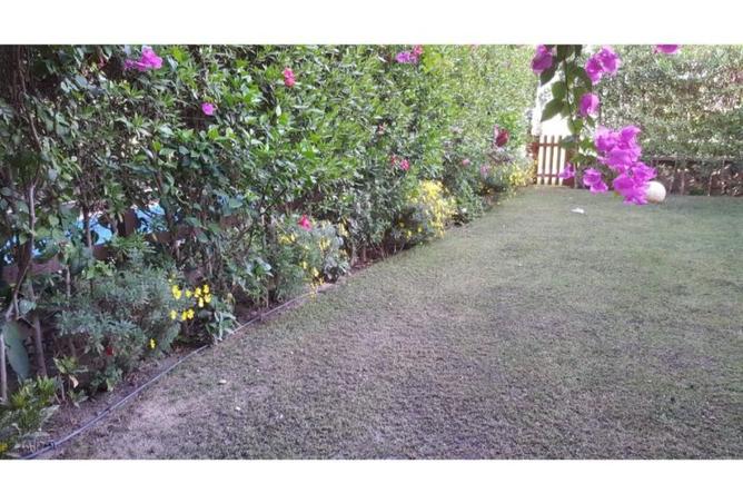 8492530 - صورة العقار 2