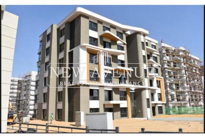 8366057 - Property Image 3