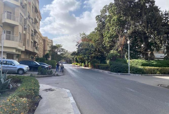 8409409 - صورة العقار 3