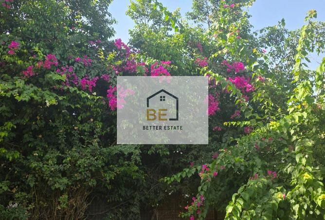 8202242 - صورة العقار 2