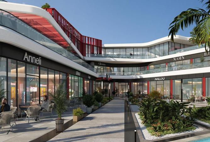 8203528 - Property Image 2