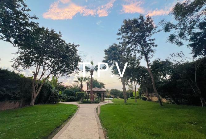 8595536 - صورة العقار 3